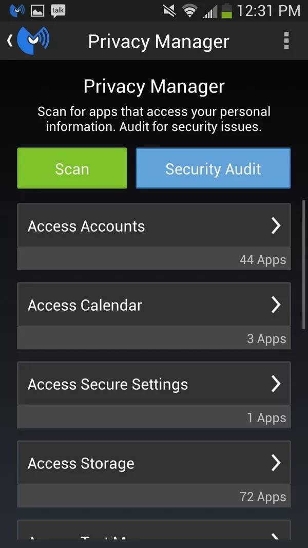 Security Audit