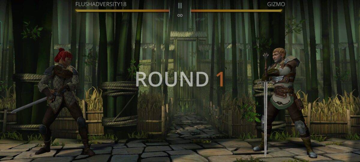 shadow fight 3