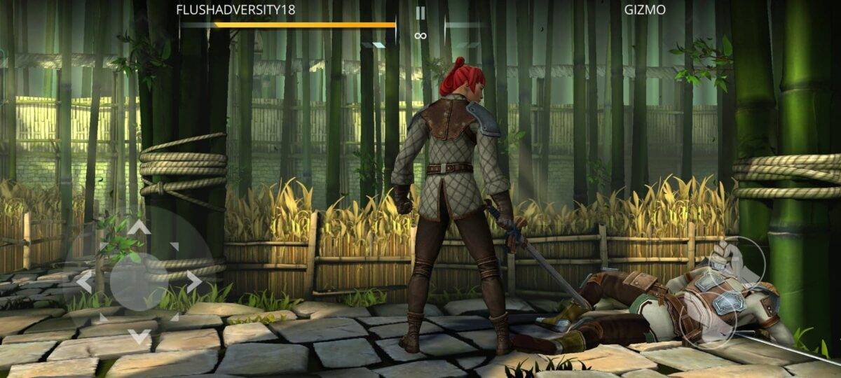 shadow fight 3