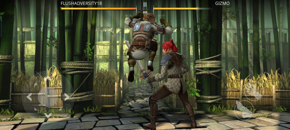 shadow fight 3