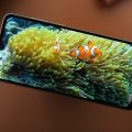 صور Samsung Galaxy A05
