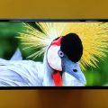صور Infinix Smart 7