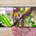 صور Vivo V29